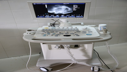 ������(����)