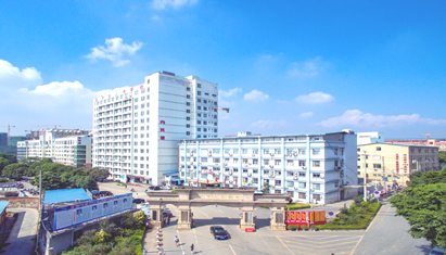 ����������ҽԺ2019������ȫ��ҽ����ѵ��������