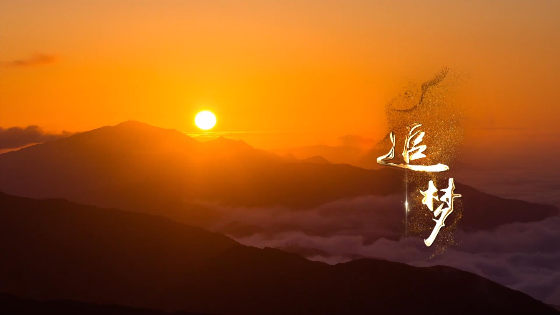 ��ҽ֮��D�D��׷�Ρ�