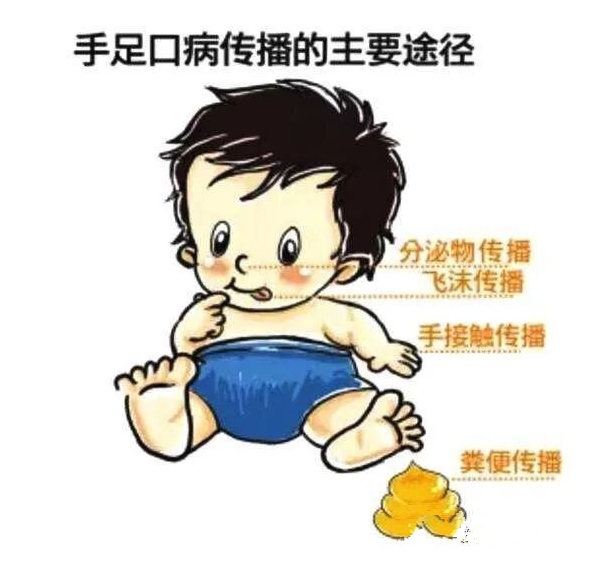 Ԥ������ڲ�֪ʶ����